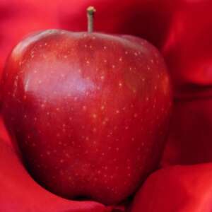 Dieta menopauzalna / 50+ 7 dni